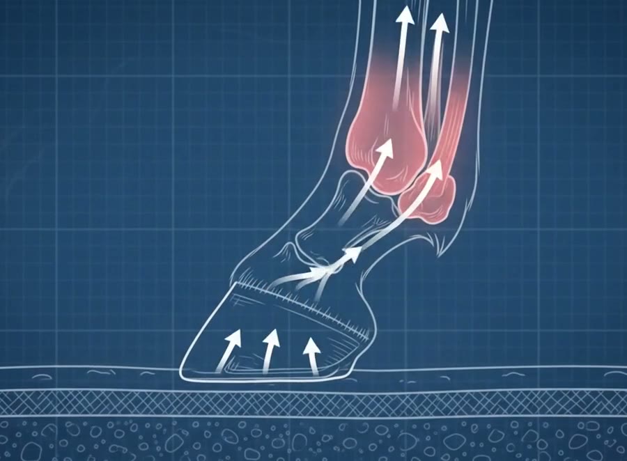 Blueprint cutaway of a horse's lower foreleg at the moment the hoof lands. Force arrows travel upward from the hoof through the pastern into the fetlock joint, which drops and extends under the weight, with the flexor tendons and suspensory ligament behind the cannon bone highlighted as they take the strain.